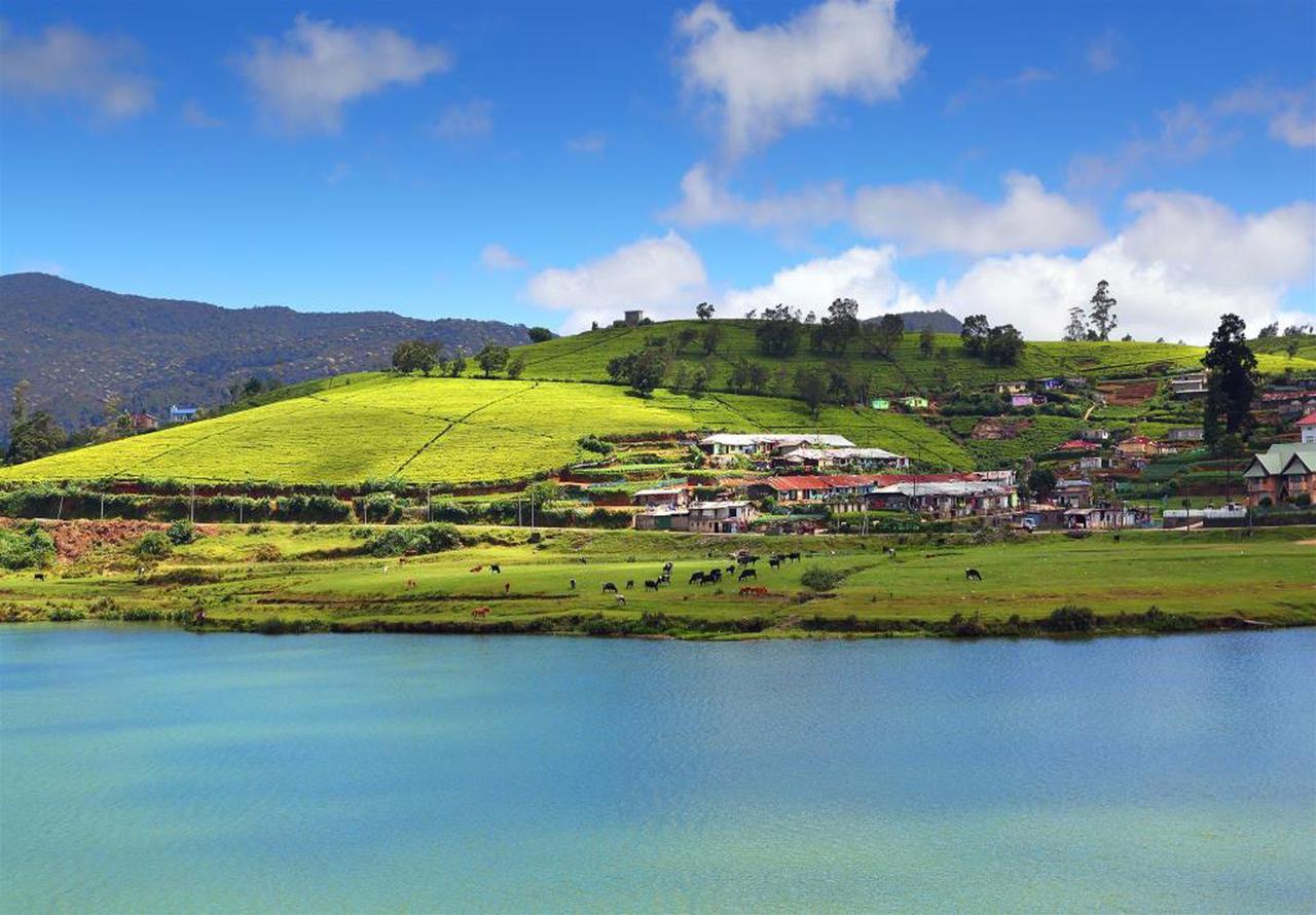 Hill View Bungalow Bed and Breakfast Nuwara Eliya Zewnętrze zdjęcie